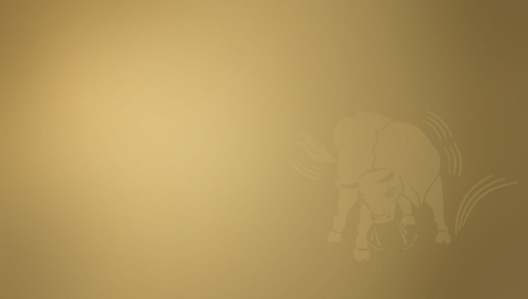 Werbegrafik für den Käse «Der edle Maxx 365»